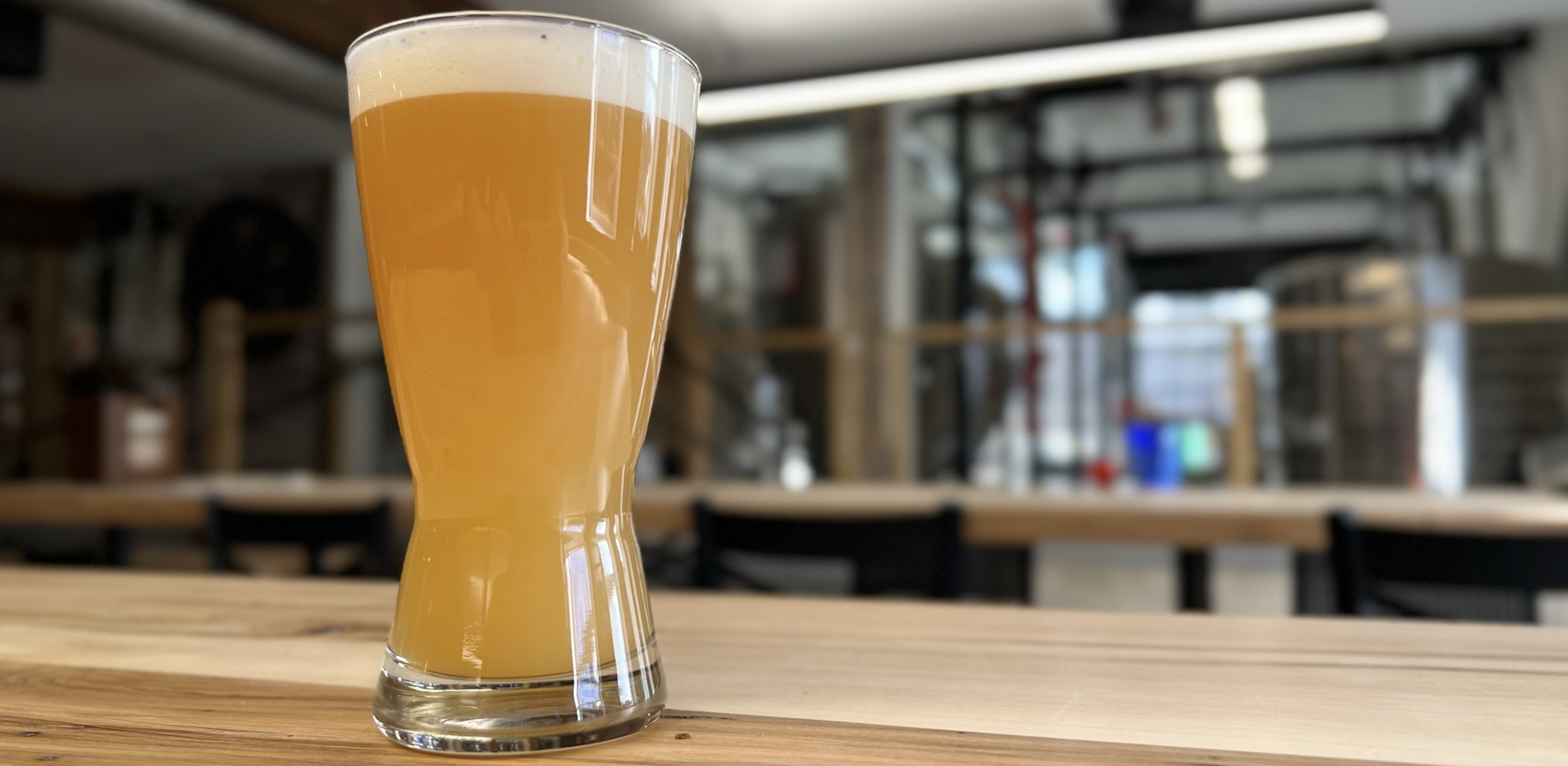 Le Renard IPA